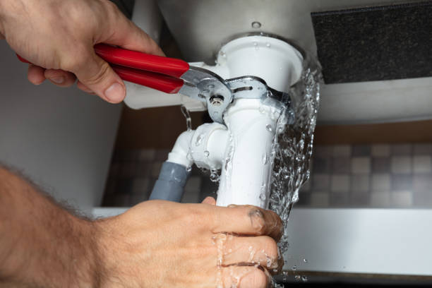 Best Ceiling water damage repair  in Lake Arbor, MD