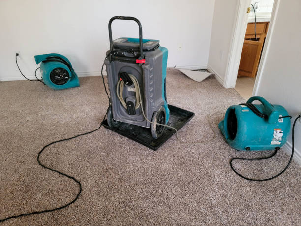 Best Water damage restoration near me  in Lake Arbor, MD
