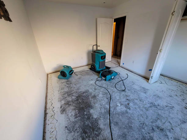 Best Flood restoration services  in Lake Arbor, MD