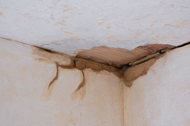 Best Water damage contractors near me  in Lake Arbor, MD