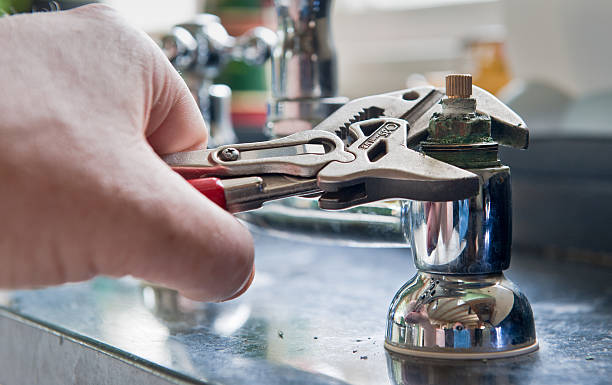 Best Water damage restoration mold remediation  in Lake Arbor, MD