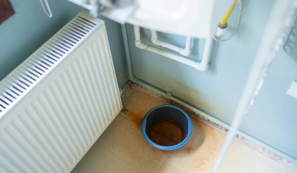 Best Water damage restoration near me  in Lake Arbor, MD