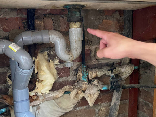Best Residential water damage restoration  in Lake Arbor, MD